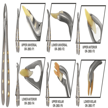 Apical Extraction Forceps Set : 6